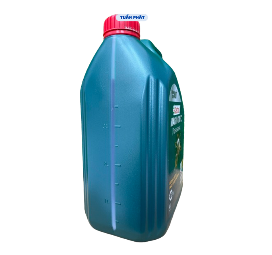 Castrol Magnatec Professional A5 5W-30 4 Lít