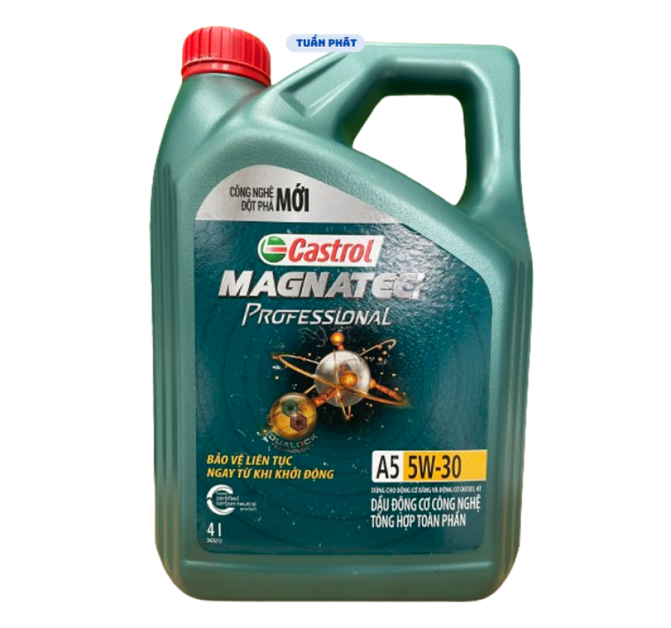 Castrol Magnatec Professional A5 5W-30 4 Lít