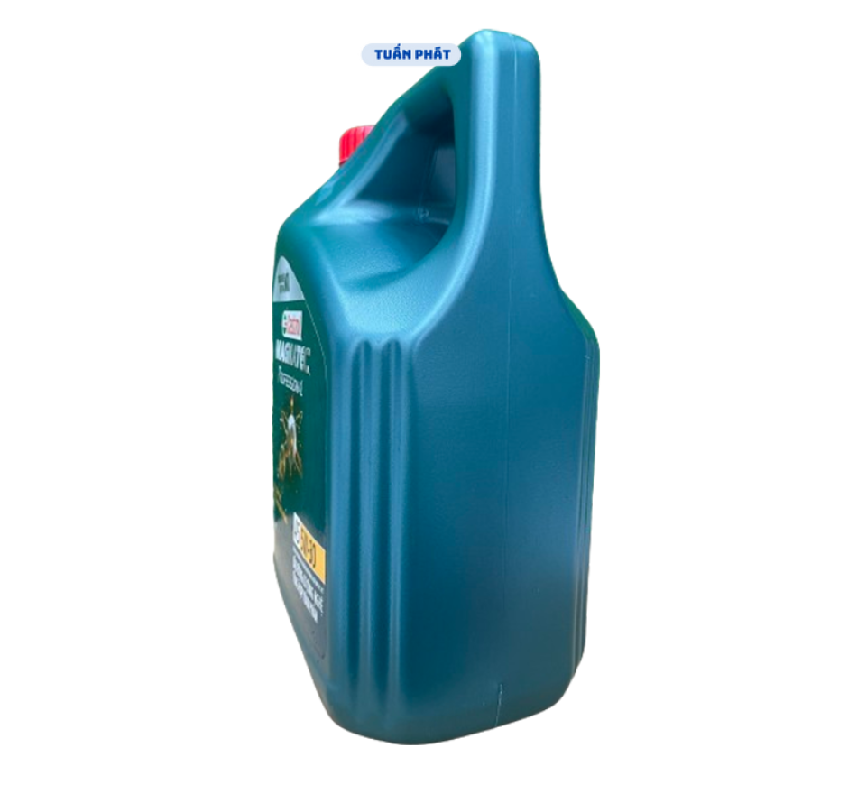 Castrol Magnatec Professional A5 5W-30 4 Lít